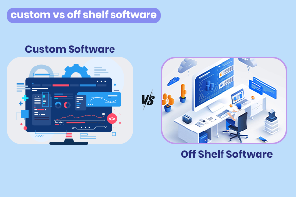 custom software